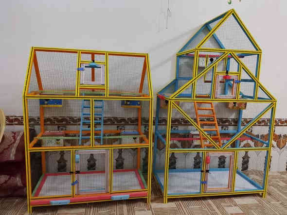 اللهم صلي على محمد وآل محمد اقفاص شغل تسكام تصميم غربي درجه اولى قاعده كيبون تور مغلون مع محتوياته مجر للتنضيف يصلح لكافه الطيور القياسات والسعر بالتعليقات النجف شارع المطار ***********
