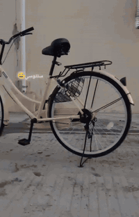 باسكل للبيع السعر 155 صارلة شهر من طالع من كرار ابو النقش مديل21 المكان نجف ***********
