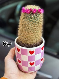 توصيل جميع المحافظات • راسلنا خاص • ديكور منزلي