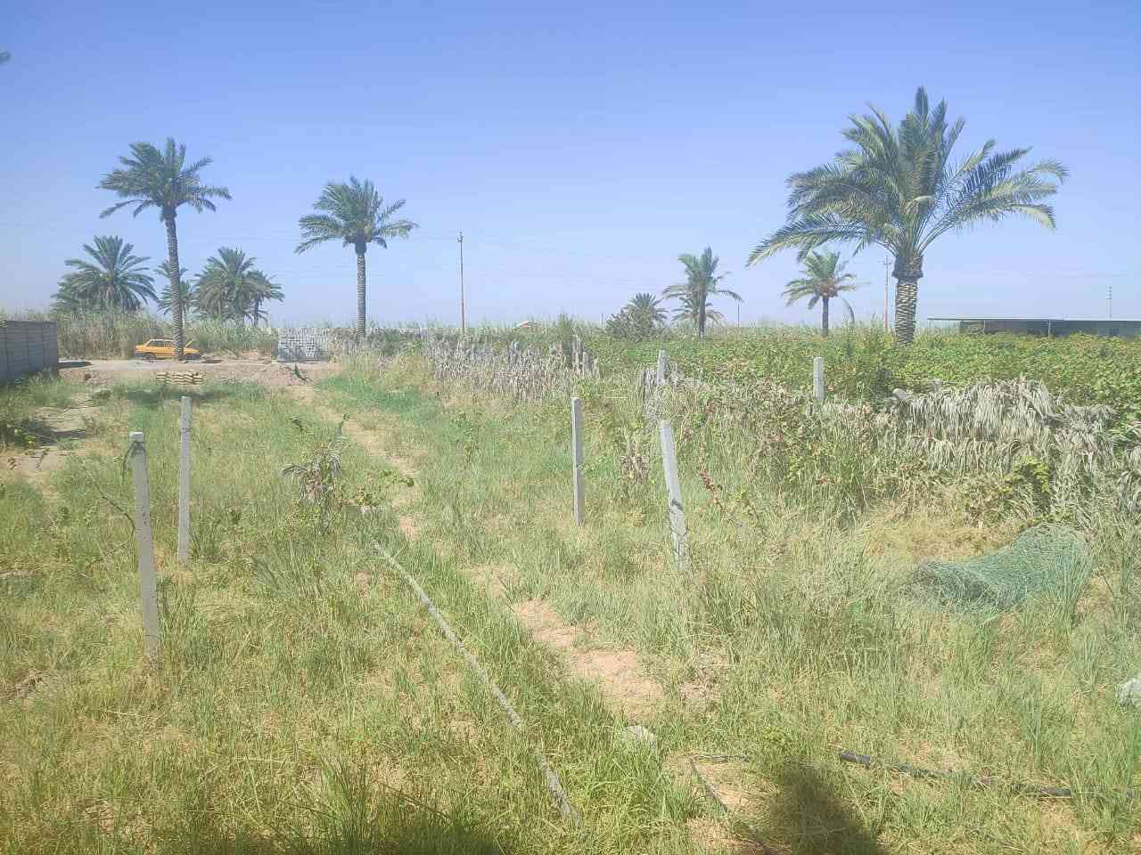 🌴 للبيع – 1000 متر 🌴
       

📍 الموقع: بغداد – المدائن – قرب مجمع بسماية 
🌊 تبعد عن شارع كوت بغداد 3 كيلو خلف محطه كهرباء بسمايه
📐 المساحة: 1000
🚪 واجهة 15 متر نزال 67متر
✅ خدمات كاملة (ماء – كهرباء – شارع سبيس _ماء بير أيضآ )
🌳 مشجّر ومناسب للسكن أو الاستثمار
السعر  50 مليون وقابل للتفاوض 
📞 للاستفسار: ***********
