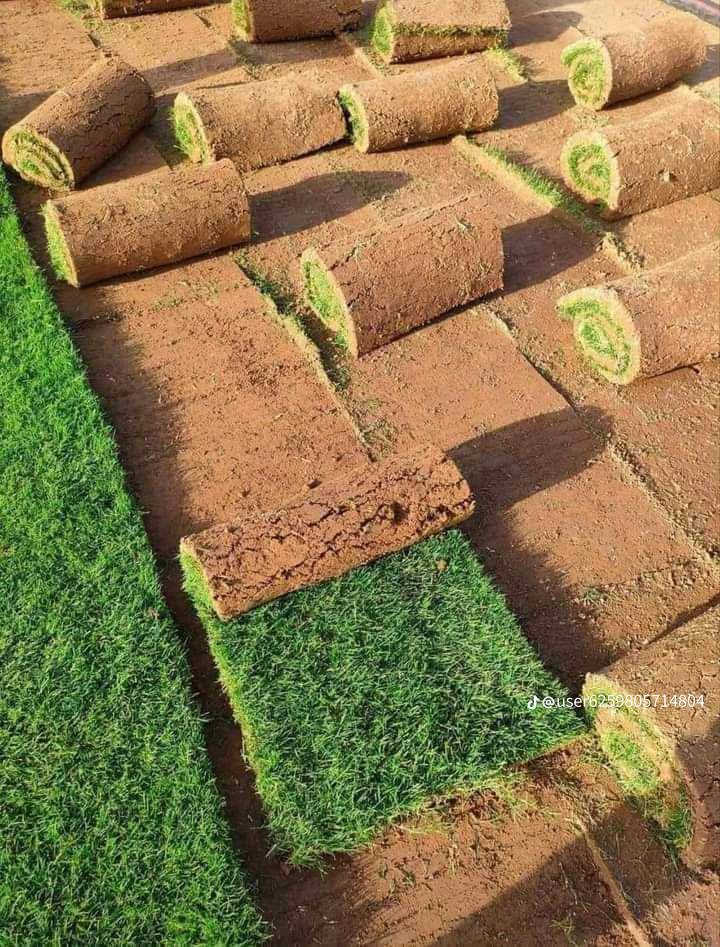 ثيل ديالى الطبيعي وخضار ولا اروع 💚
نتوفر كافة انواع الثيل الطبيعي 
مستعدون لتجهيز كافة الدوائر الحكومية والمتنزهات والحدائق العامة والمنازل .
نوعية ممتازة ودرجه اولى ⁦1️⃣⁩
ودائم الخضره 

ثيل #هندي  #امريكي   #ايطالي الخ ...

اسعارنا الانسب وتوصيلنا الاسرع  لكافة محافظات العراق
لمعرفة المزيد راسل الصفحه او اتصل على
***********
***********
