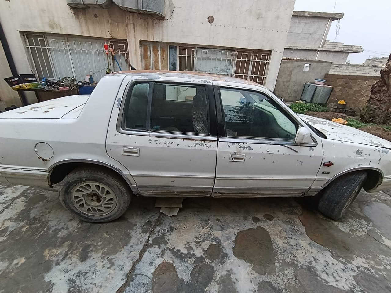 سياره (دوج) موديل 96 رقم ديالى كلشي شغال مابيها نقص العنوان ديالى المقدادية شهربان للستفسار اتصل (***********)
