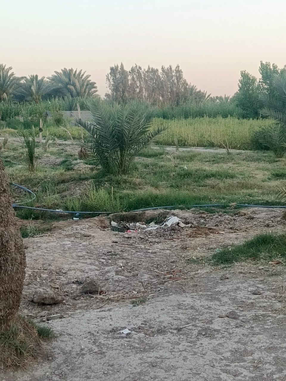 السلام عليكم كاع دونمين كافت الخدمات موجوده سنتر على الشارع العام بيه بيت صب كونكريت مع ثلاث مشتملات سندويج ***********

