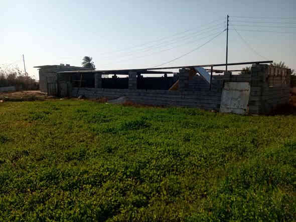 5دوانم للبيع سند 25 زراعي باسم شخص واحد خدمات كامله منطقه هدوء وكهرباء وسقي اليوسفيه قرب مزرعه سبعاوي للاستفسار على رقم ***********
