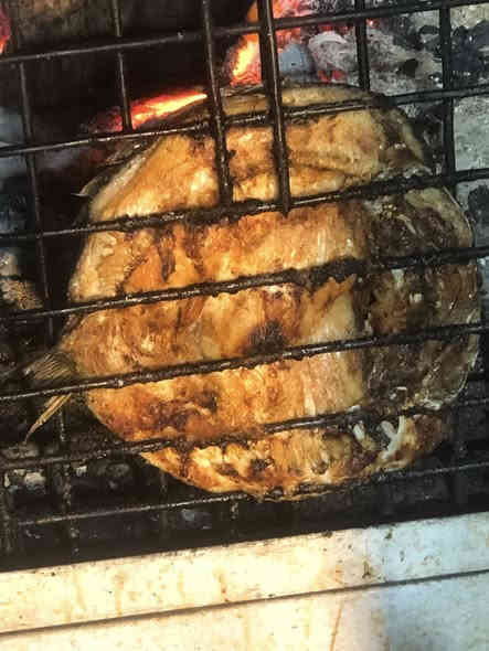 السلام عليكم تعلن اسماك بيومي كيلو سمك اقفاص السود المسكوف 8000 بدون سكف 6000 العنوان بغداد حي الجامعه مجاور زنود الست علي الحمداني يوجد لدينا خدمة توصيل داخل حي الجامعه وخارج حي الجامعه للحجز اتصل بي ***********
