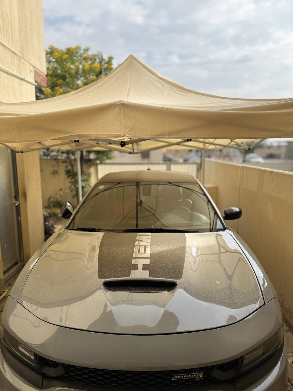 ‏Dodge Charger RT :للبيع -
2022 - بلاك توب سوبر تراك لون سموك مميز✅

استخدام شخصي، وكلشي ما مفتوح بيها وع الفحص *

• الممشى: 30 مايل فقط

• الصبغ: جاملغ وبنيد - بدون

• تحويل: رقم بغداد سنويه ب أسمي

تحويل ثاني يوم

+ المواصفات:

• دخول ذكي بصمات ابواب وصندوق

• ⁠كشن كهرباء

• ⁠تبريد قطعتين وبصمه وكامرا 

• ⁠شاشة 20 إنش الكبيره  كار بلي 📳

‏    •سستم صوت Alpine•

   ويل هلكات من امريكا😈

• تحكم ستيرنك جهتين

• تحديد مسار + كروز كونترول

• شفتات ستيرنك 🏎️🏁

• وضعيات قيادة: سوبر تراك + سبورت

• مراية وسطية عاكسة

• مرايات جانبية هيتر

• داخلية كنتارا أحمر + جلد

• حساسات خلفية

السيارة ستوك كير ومكينه وكلشي بيها على وضع

الشركه بدون اي برمجة او

استعراض او تعديل او اضافات

•بياع شراي لتخابرني جناي تشلع عيوني 
السعر اكتب رقم 1 يجيك خاص

للاستفسار 📞☎️ ***********
