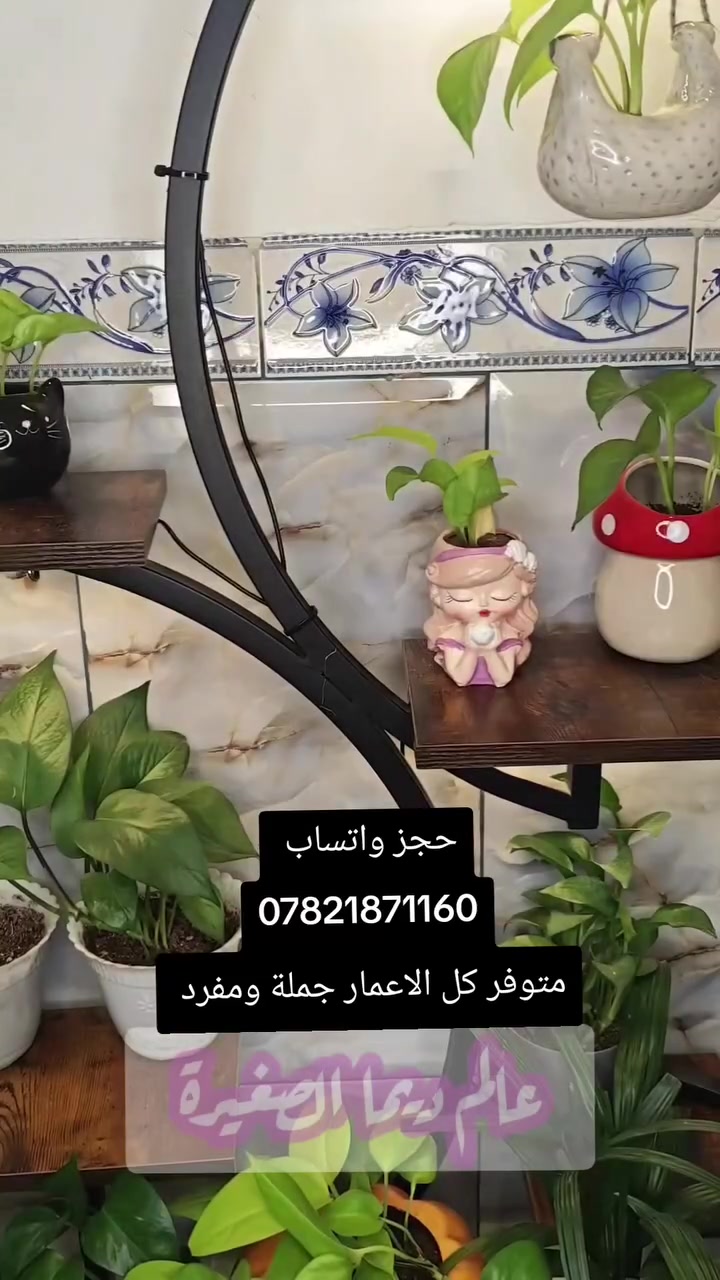 قطن 100%


**إذا كنت صاحب هذا الإعلان وتريد حذفه لأي سبب، رجاءا أرسل رسالة إلى الدعم الفني**