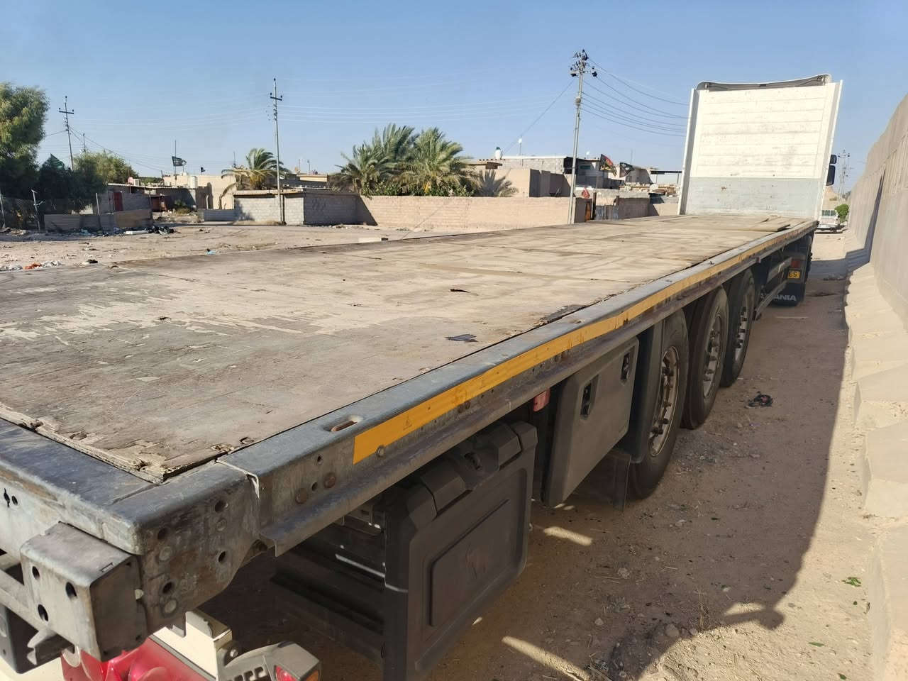البيع عربانه تخم تيره شمتزه منفيس /سعره 65بيه مجال الشراي ***********

