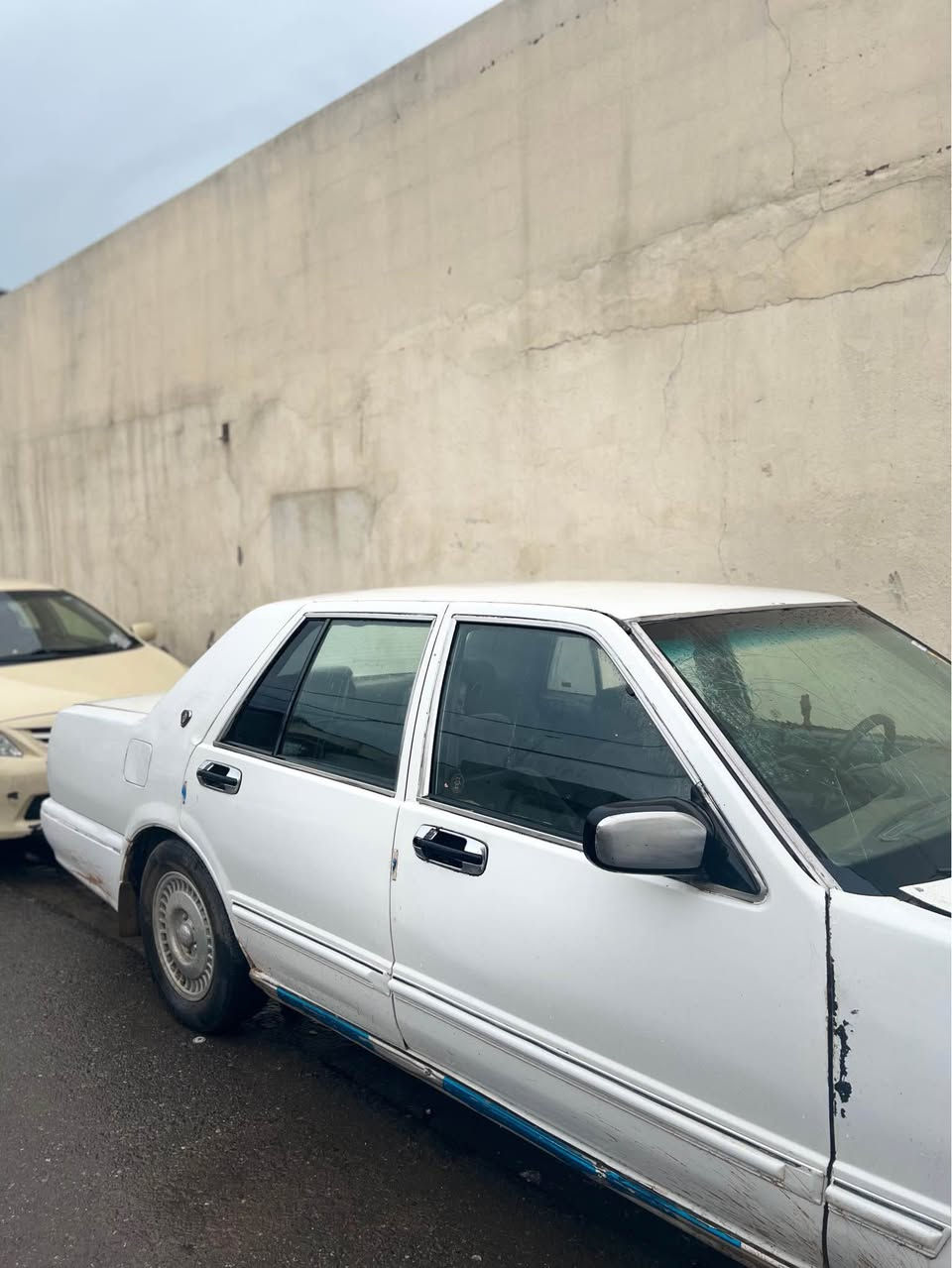 نیسان سدریك 2001
تەبرید لەسەر سویج 
گێر و مەكینە و ئەكسل لۆك
مەكینەی ئەورپی هەفتەیەكە بۆی بەستراوە
رەقەم و سەنەوی تا كۆتای 2030 تازەیە 
بەناوی خۆمانە وكالە بەناوكردن بەشەرت
سەیارەكە زۆر خاوێن ماوەتەوە 
تەنها كورتە مەسرەفێكی دەوێت دوو سێ پارچە و دەعامیەكانی بۆیاغ بكرت باقی زۆر توند و تۆل و مەزبوتە 
دەعم و لێدرانی قورسی نیە
سەیارەكە غاز و بەنزینە
سعر 22 وەرەقە و کەمێك مەجال
شوێن / هەولێر
بۆزانیای زیاتر نامە بنێرن لەخزمەت دام. أربيل, العراق


**إذا كنت صاحب هذا الإعلان وتريد حذفه لأي سبب، رجاءا أرسل رسالة إلى الدعم الفني**