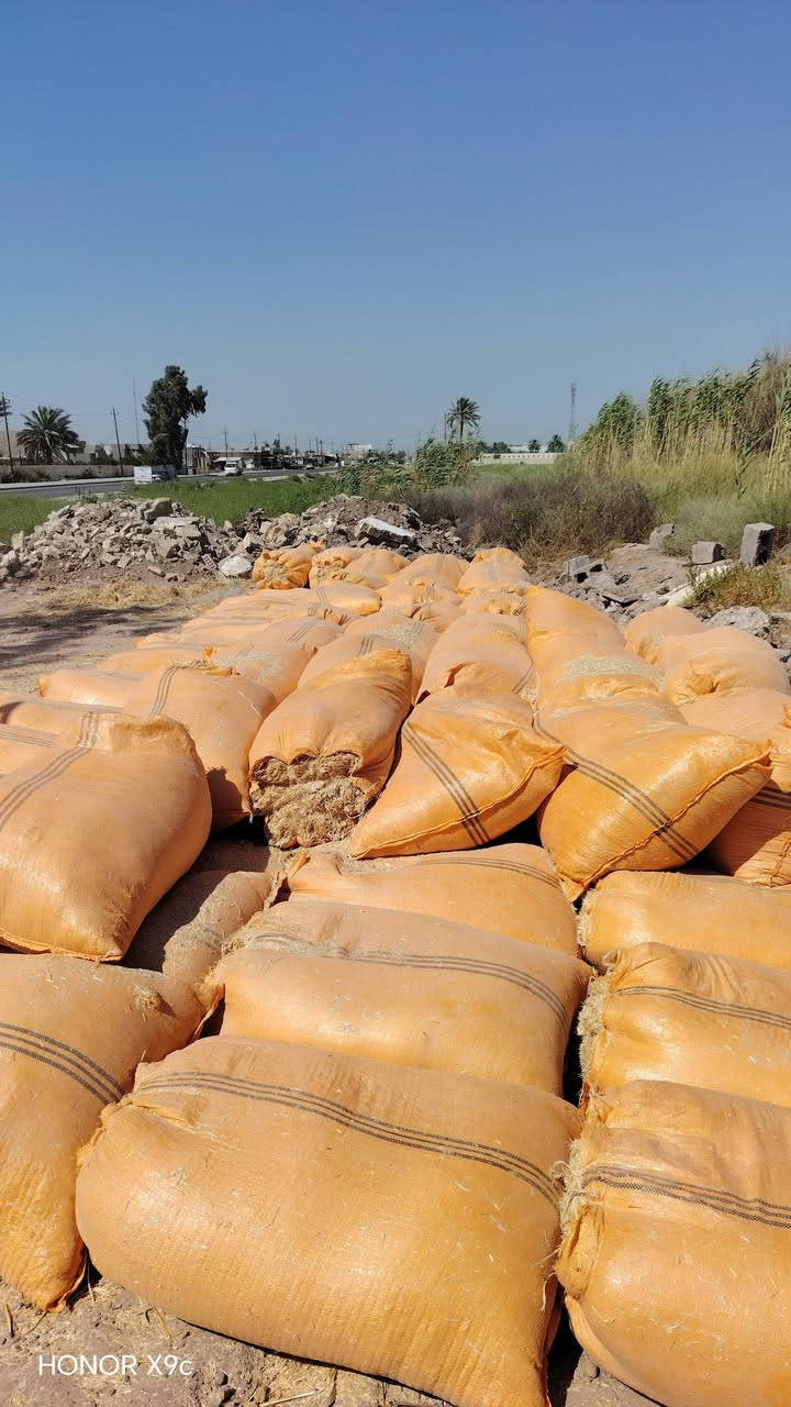 سلام عليكم لؤل مره في اليوسفية تبن درجه أول شليف الحجم الكبير عرض 90الطول 120مستعدون تجهيز المحلات فرعيه جمله  ومفردسلام عليكم لؤل مره في اليوسفية تبن درجه أول شليف الحجم الكبير عرض 90الطول 120مستعدون تجهيز المحلات فرعيه جمله  ومفرد
سلام عليكم لؤل مره في اليوسفية تبن درجه أول شليف الحجم الكبير عرض 90الطول 120مستعدون تجهيز المحلات فرعيه جمله  ومفردسلام عليكم لؤل مره في اليوسفية تبن درجه أول شليف الحجم الكبير عرض 90الطول 120مستعدون تجهيز المحلات فرعيه جمله  ومفرد
سعر زوج8.500 جمله يدلل
للإستفسار الاتصال على *********** أو واساب
 عنوان اليوسفية حي شهداء 
من رخصت امن
