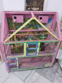 قفص • نظيف • ناصريه مركز