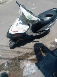 ماكس • زنجيل • غزاليه