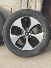 ويل كب • حجم ١٦ • سيراتو فورتي أوبتيما