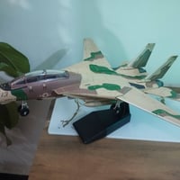 F14 • ريزن • ١٫٧٢م