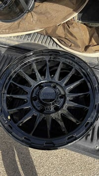 تخم ويل 18 kmc للبيع بسعر 475 الف  07713451965