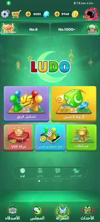 حساب لودو • مرتب • مصروف عليه