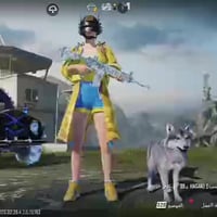 مراوس • ماكس • حربي/عادي