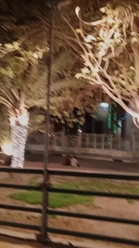 دراجة • نجف حي سلام • اوراق سكنر