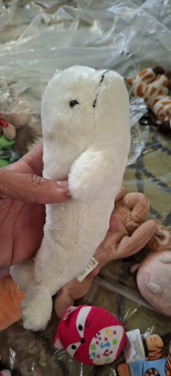 العاب باله  بسعر مناسب  اكو قطعة ب 2 واكو ب 3واكو ب 4 واكو ب 5 الي ياخذ شلعه اله خصم
متوفر توصيل للحجز مراسله الصفحة او واتساب ***********
