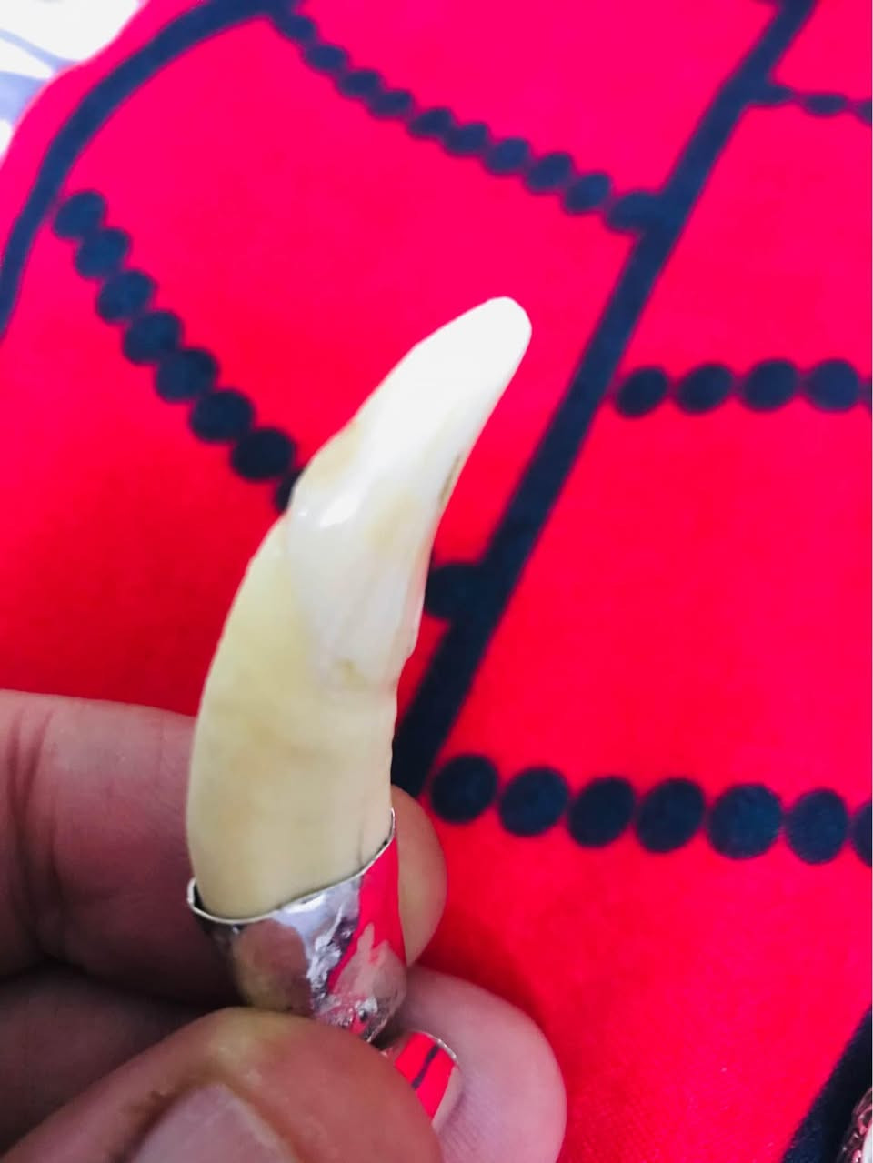 ناب الذيب اصلي بغداد, العراق


**إذا كنت صاحب هذا الإعلان وتريد حذفه لأي سبب، رجاءا أرسل رسالة إلى الدعم الفني**