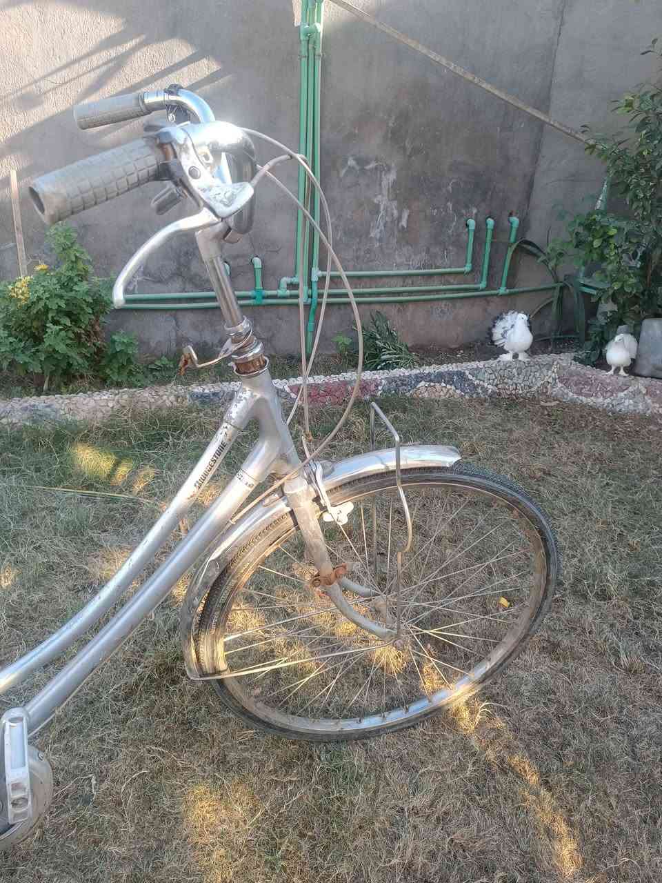 اسلام عليكم شباب. بايسكل للبيع حجم 26 نظيف كله استيل. وبيه كير سعر 50 الف الشراي يجي خاص. مكان مشخاب أم عرده
***********
