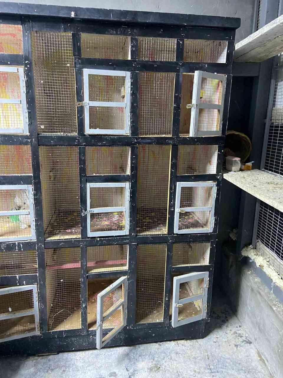 سلام عليكم قفص خانات 12 خانه ٢٥٠ وبي مجال مكاني فلوجه السكنية


**إذا كنت صاحب هذا الإعلان وتريد حذفه لأي سبب، رجاءا أرسل رسالة إلى الدعم الفني**