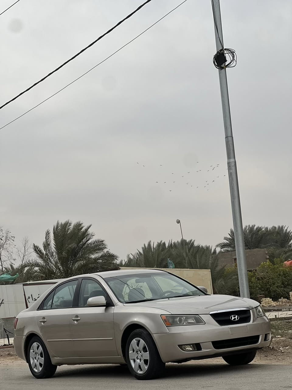 سوناتا 2008 
وارد امريكي 
رقم بغداد بسمي
صبغ صفحتين فقط
حادث جاملغ امامي بدون داخل
محرك 2400
كير محرك كفاله
حداده تبريد صدر جاهزه
مكان السياره المسيب
السعر 107

***********
