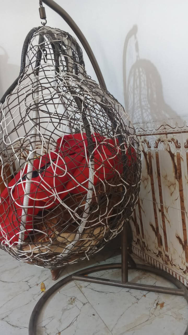 كرسي عش العصفور جديد شرط بترابه مامستخدم ابد  شرط فحص اصلي حديد قوي تحمل نص طن يعني تشيل 500 كيلو اكثر اللون جوزي ابيض مو احبال لا سيام حلوه كلش هيه ومخدته وياها كامله المكان كربلاء حي الميلاد السعر 150 شراي تفضل ***********
