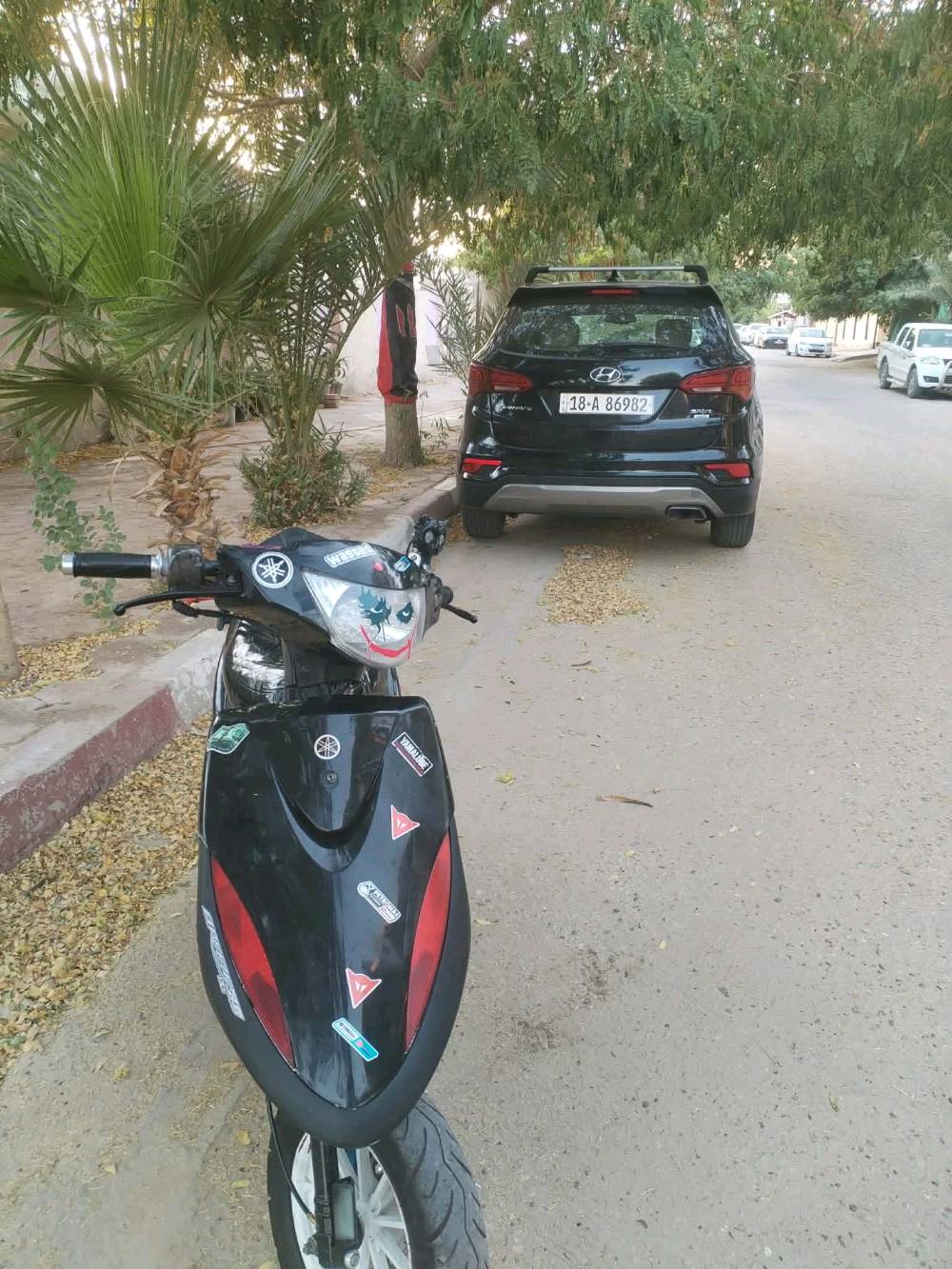 ماكس عدله 55 جاهزة من كلشي سعر 650 وبيها مجال استفسار ‏‪*********** ؟‬‏