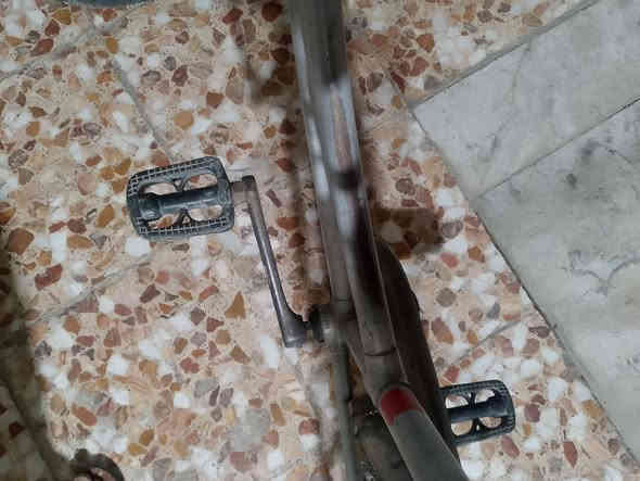 مكاني بغداد الدورة الصحة شارع الزيتون 
الرقم ***********
البايسكل الابيض ب50 الف
البايسكل الثاني ب65 الف 
نظيفات وكبل تطلع بيهن
