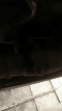 خدمات • كربلاء حي الصناعي