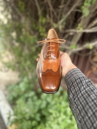 باركر • قياس ٤٢