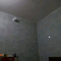 قطع الحشد • ١٠٠م • طابو