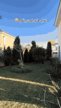 رقم التواصل و السعر (07861317950)(07731207950)