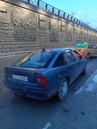 فكتره 18 مصبوغه حزام سنويه جديده هزه.تريد وكاله تريد تحويل  السعر 36 و...