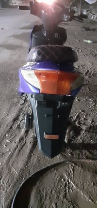 سكنس صيني • طافي • تبخير