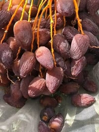 07752242384//07853756795 متوفر فسائل مجهول قلع من الام درجه اولى