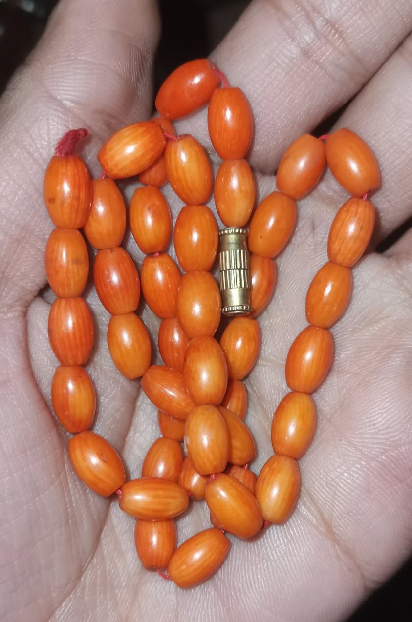 مرجان وردي


**إذا كنت صاحب هذا الإعلان وتريد حذفه لأي سبب، رجاءا أرسل رسالة إلى الدعم الفني**