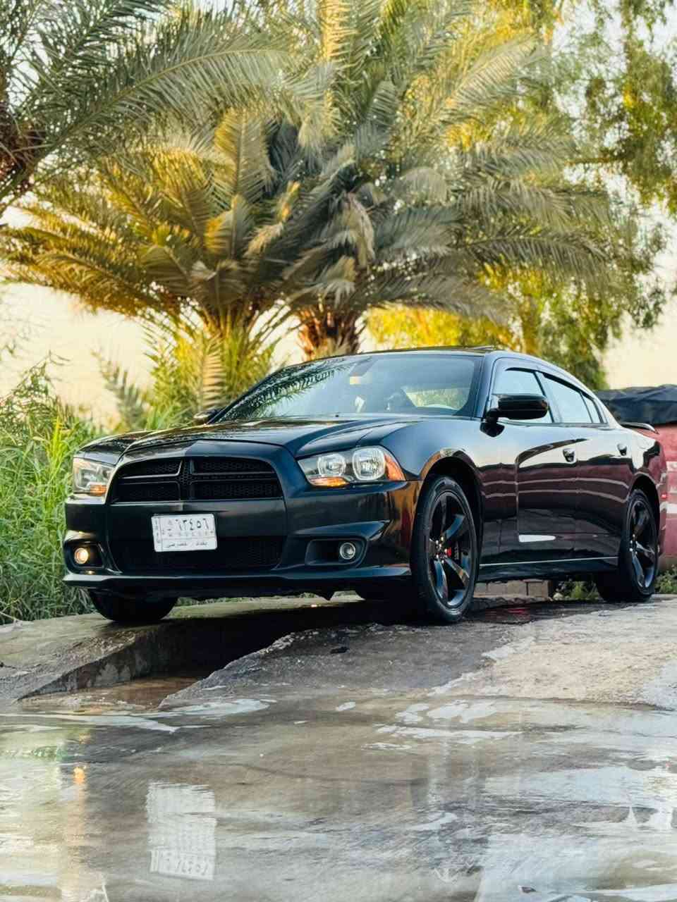 السلام عليكم 
السياره بيها ٥ قطع ٣ تبديل اصلي وثنين كلير من امريكا بدون دواخل  بدون شواصي بدون اريباك
محرك كير مكفول  سنويه مجدده هزه ما ساقطه سعرها ١٤٥
مكاني بابل رقم الهاتف ***********
