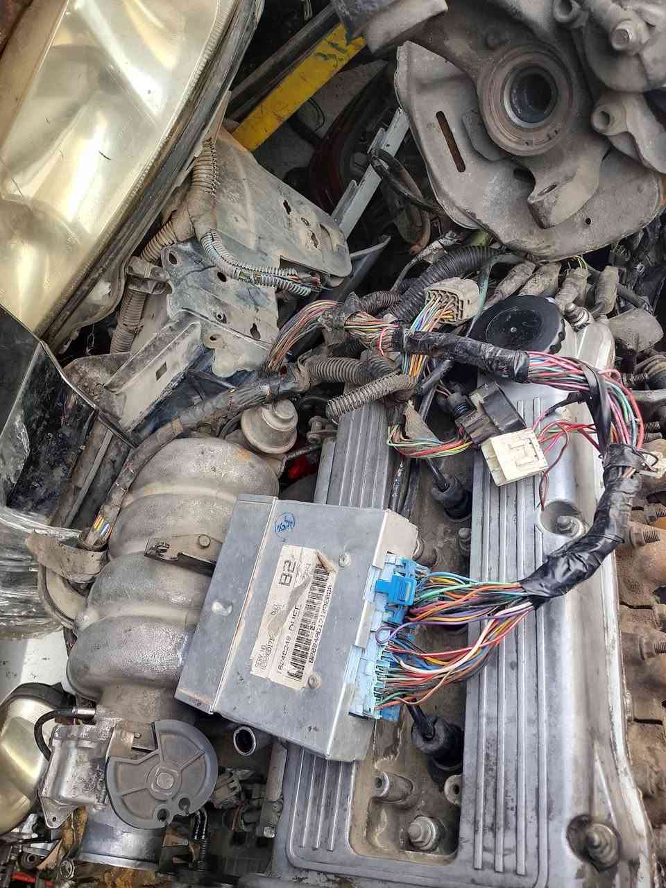 0796101823


**إذا كنت صاحب هذا الإعلان وتريد حذفه لأي سبب، رجاءا أرسل رسالة إلى الدعم الفني**