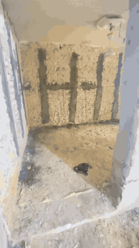 كادرنا متكامل ودقيق في خدمتكم *********** @
