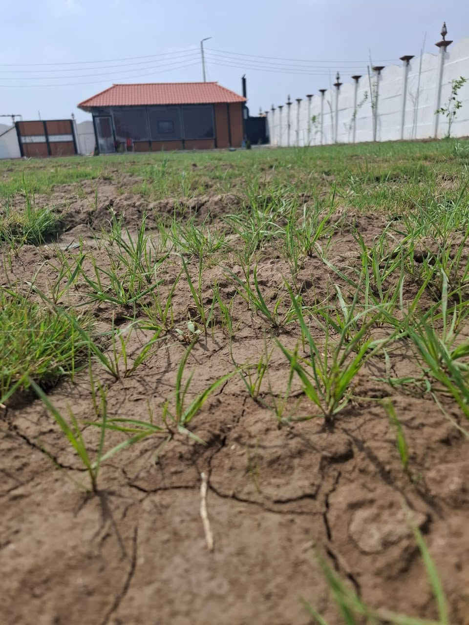 للبيع 《فرصه سكنيه استثماريه 》
السلام عليكم  
تم توفير مزرعه طابو زراعي سند ٢٥
المساحه.     :  1200 متر 
#الواجهيه: 30 متر
صنف العقار : طابو زراعي سند ٢٥
الخدمات.    : خدمات كامله《 مي كهرباء تبليط  》
السند.         : طابو زراعي سند ٢٥
#الموقع. .  : بابل / جسر سيف سعد طريق ياحسين بالقرب من تقسيم حسين مارينا. 
#ملاحظه.  : تحويل مباشر بأسم المشتري .
#ملاحظه : المنطقه ذات توسع جدا قوي 
#السعر :         110 مليون 
#ملاحظه.  : خدمات متوفره ماء كهرباء تبليط  (الشراي الحقيقي اتصل وبخدمتك)
للاستفسار الاتصال على الارقام التاليه:
***********اتصال + واتساب 

#بابل_الحله
