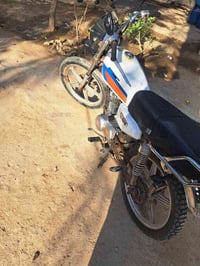 تايكر ٤ • بدون أوراق • المدائن