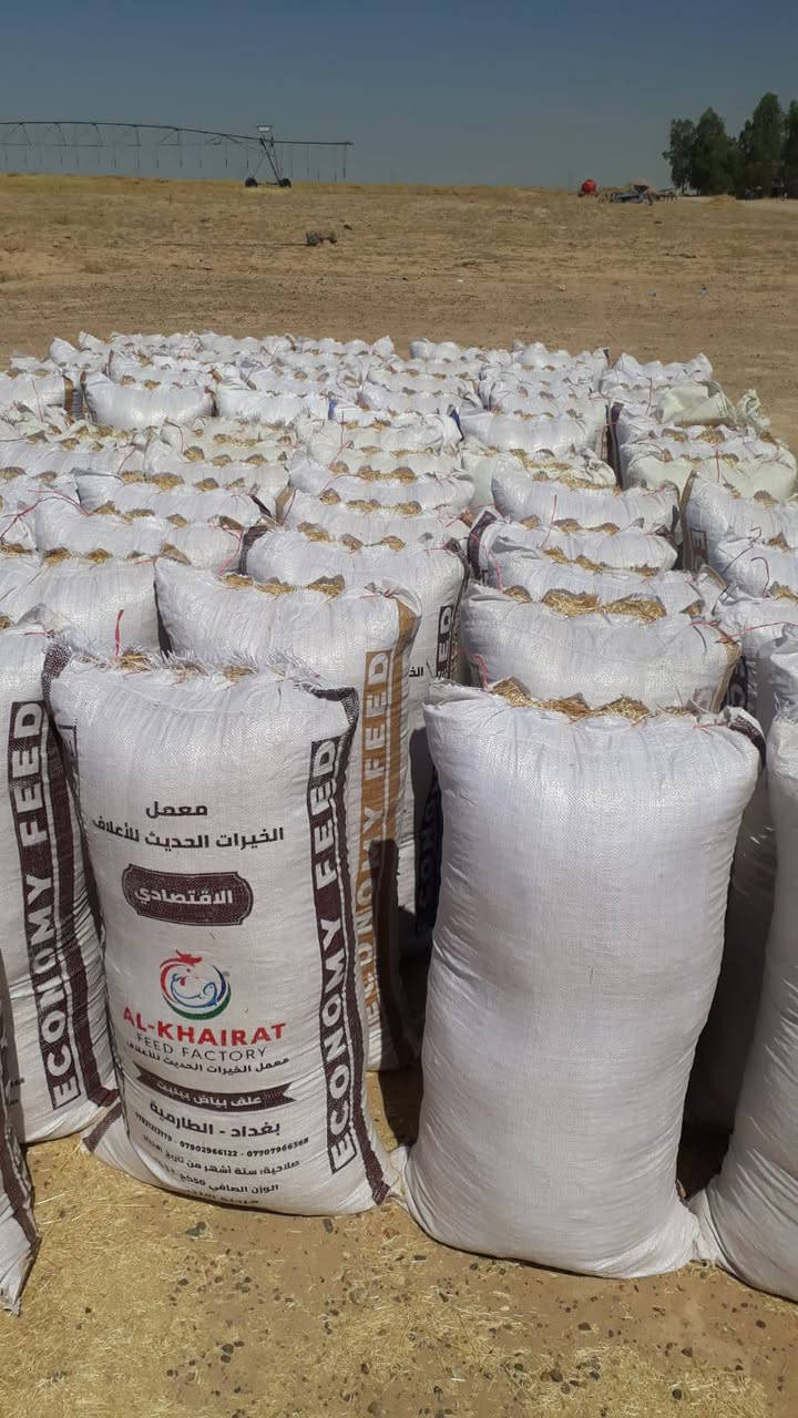 يوجد تبين ابيض للبيع السعر الزوج 4000 للاستفسار الاتصال ***********
***********
