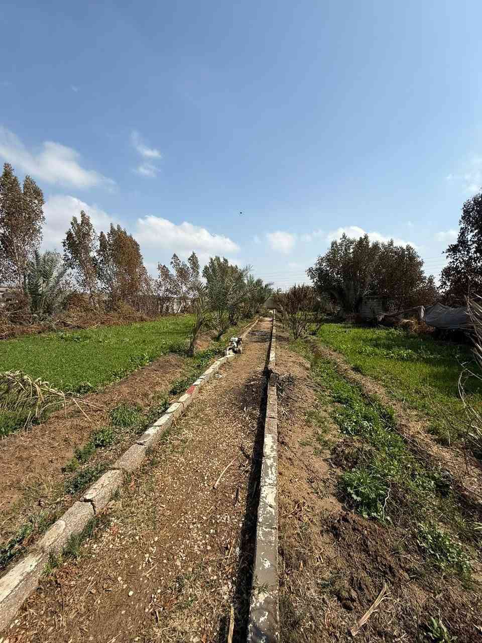 بستان مساحة دونمين ونص
وجه/ ٣٣ متر
نزال /١٧٨ متر
البستان مخدوم وبي شجر وبي بيت ويحتوي على مسبح 
ويحتوي على حقل دواجن
يحتوي على شارع خاص بالبستان 
سند ٢٥ تحويل بأسم المشتري
كربلاء منطقة الزبيلية بساتين طيبة على شارع العام مباشرةً 
🔴 علق تم يوصلك السعر
للأستفسار اكثر 
***********
