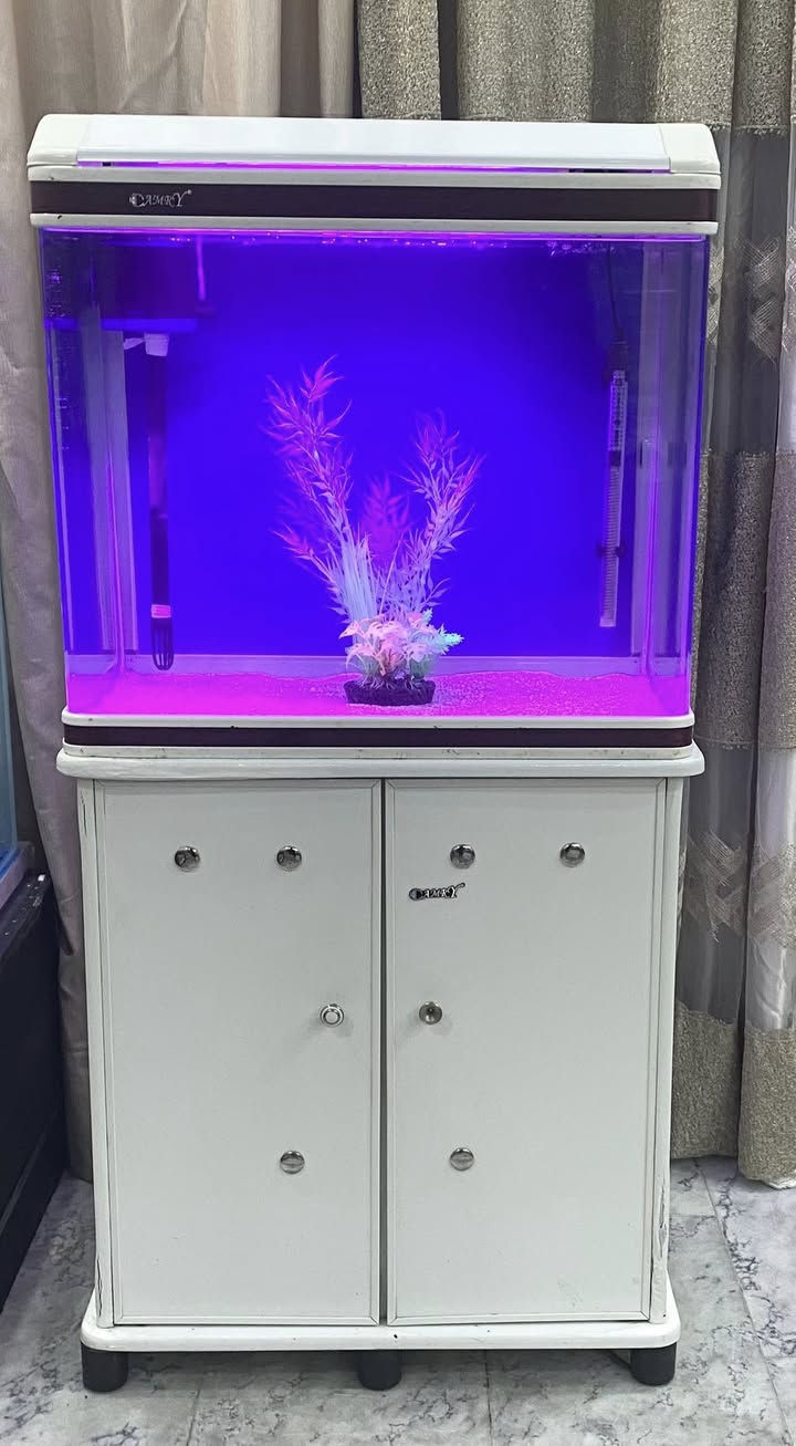 سلام عليكم شباب 
حوض كامري ابيض فول نظافة جاهز من كلشي 
اناره
فلتر 
هيتر
جهاز اوكسجين
رمل وشجره ضوئية
علبه اكل 
للبيع مكان السيديه تفاصيل اكثر خاص او الاتصال ***********
