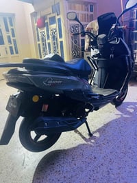 موديل ٢٤ • مكفوله • دهان شركة