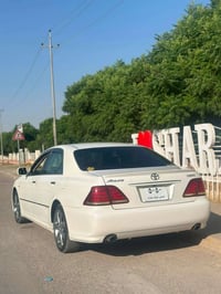 شاهين • ١٨٢ حصان • جلد