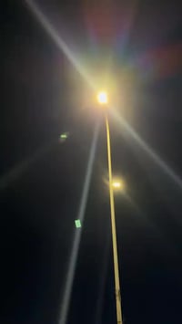 تكتك • بصرة حيانيه • سنوية