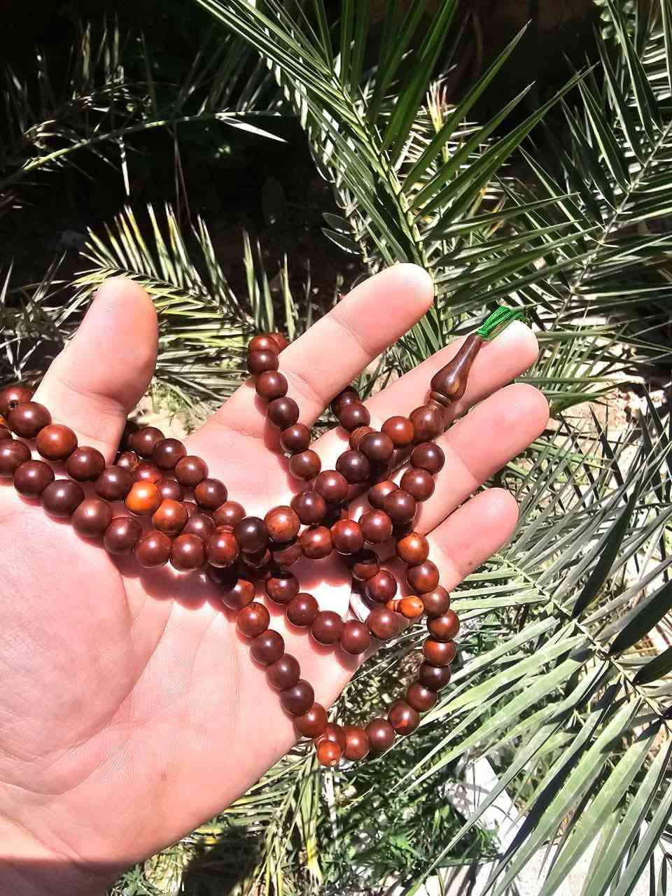 نارجيل كوك عثماني ١٠١


**إذا كنت صاحب هذا الإعلان وتريد حذفه لأي سبب، رجاءا أرسل رسالة إلى الدعم الفني**